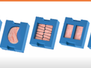 Whole-Muscle Chicken Innovation: Bringing Fish Finger Precision to Middle Eastern Favorites